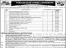Punjab Safe Cities Authority Jobs 11 December 2019