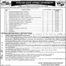 Punjab Safe Cities Authority Jobs 11 December 2019