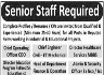 Senior Staff Required In Well Reputed Firm Lahore Jobs 04 December 2019