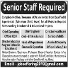 Senior Staff Required In Well Reputed Firm Lahore Jobs 04 December 2019