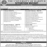The University Of Haripur Jobs 25 December 2019