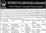 University of Agriculture Faisalabad Jobs 26 December 2019