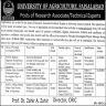 University of Agriculture Faisalabad Jobs 26 December 2019