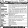 Bhitai Dental & Medical College Jobs 22 January 2020