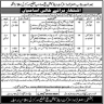 District and Session Court District Orakzai Hangu Jobs 01 January 2020