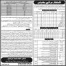Elementary And Secondary Education Khyber Pakhtunkhwa Jobs 23 January 2020