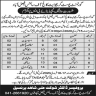 Govt Postgraduate College Of Science Faisalabad Jobs 30 January 2020