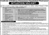 Institute of Kidney Diseases Hayatabad Jobs 17 January 2020