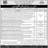 Instructors Required In Technical Education And Vocational Training Authority TEVTA Jobs 07 January 2020