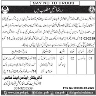 Interview Call In Directorate General Of Information Technology Balochistan Jobs 10 January 2020