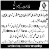 Junior Foreman Required In Interloop Limited Jobs 05 January 2020