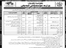 Ministry Of Climate Change Govt Of Pakistan Jobs 13 January 2020