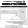 National University of Modern Languages Jobs 09 January 2020