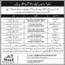 Nest Marketing Prvt Ltd Jobs 13 January 2020