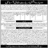 Office Of The District And Session Judge Jobs 15 January 2020