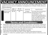 Public Sector Organization Govt of Khyber Pakhtunkhwa Jobs 08 January 2020