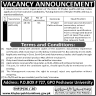 Public Sector Organization Govt of Khyber Pakhtunkhwa Jobs 08 January 2020