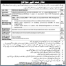Public Sector Organization Islamabad Jobs 16 January 2020