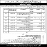 Punjab Employees Social Security Institution Jobs 01 January 2020