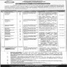 Punjab Government Services Housing Foundation Jobs 31 January 2020