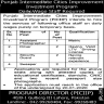 Punjab Intermediate Cities Improvement Investment Program PICIIP Jobs 11 January 2020