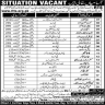 Roots Testing Services RST Jobs 31 January 2020
