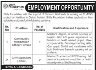 Shifa Foundation Jobs 31 January 2020