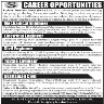 Stylers International Pvt Ltd Jobs 12 January 2020