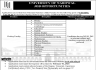 University of Narowal Jobs 11 January 2020