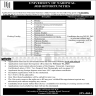 University of Narowal Jobs 11 January 2020