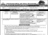 University Of The Punjab Jobs 20 January 2020