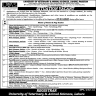 University Of Veterinary And Animal Sciences (UVAS) Jobs 07 January 2020