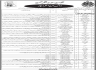 Walk In Interview In Health Department Govt of Sindh Jobs 06 January 2020