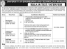 Walk In Interview University Of Engineering And Technology Mardan Jobs 23 January 2020