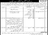 Education Department Govt of Sindh Jobs 08 February 2020