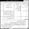Education Department Govt of Sindh Jobs 08 February 2020