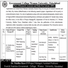 Govt College GC University Faisalabad Jobs 14 February 2020