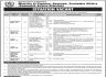 Govt of Pakistan Ministry of Finance, Revenue,Economic Affair Jobs 03 February 2020