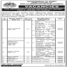 Govt of Sindh Directorate Of Anti-Corruption Establishment Jobs 22 February 2020