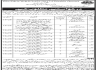 Govt of Sindh Works And Services Department Jobs 20 February 2020