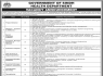 Health Department Govt of Sindh Jobs 13 February 2020