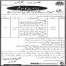Health Department Govt of Sindh Jobs 18 February 2020