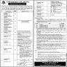 Jobs Announced In University Of Jhang Jobs 13 February 2020