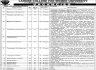 Lahore College for Women University Jobs 12 February 2020