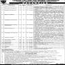 Lahore College for Women University Jobs 12 February 2020