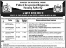 Ministry of Housing Works Govt of Pakistan Jobs 13 February 2020