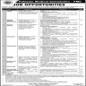 Pakistan Medical Commission PMC Jobs 03 February 2020