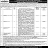 Planning and Development Department Govt of the Punjab Jobs 29 February 2020
