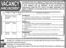 Public Private Partnership (PPP) Govt Of Khyber Pakhtunkhwa Jobs 04 February 2020