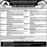 Punjab Industrial Estate Development And Management Company Jobs 19 February 2020